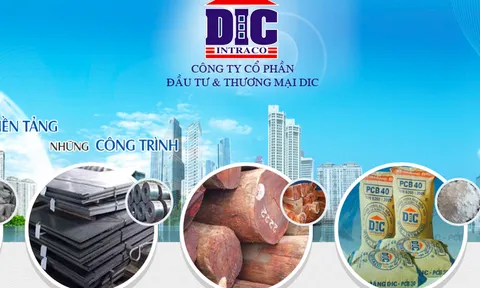 Làm ăn thua lỗ, DIC bị BIDV phát mại tài sản ở Bình Phước