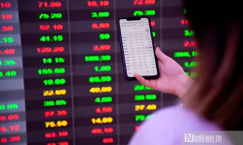 Công ty chứng khoán lỗ trăm tỷ vì tự doanh