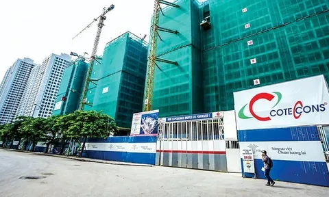 “Gánh nặng” nợ trăm tỷ từ Tân Hoàng Minh khiến Coteccons thua lỗ