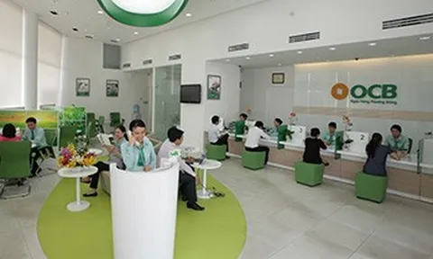 Ngân hàng OCB 'hy sinh' lợi nhuận để trích lập dự phòng rủi ro, nợ xấu vẫn tăng 59%