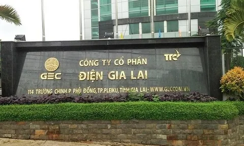 Điện Gia Lai (GEG) làm ăn ra sao trước khi bán 35% cổ phần cho tập đoàn năng lượng Nhật Bản?