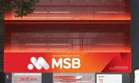 MSB lỗ hơn 600 tỷ đồng từ việc thanh lý 9 con tàu