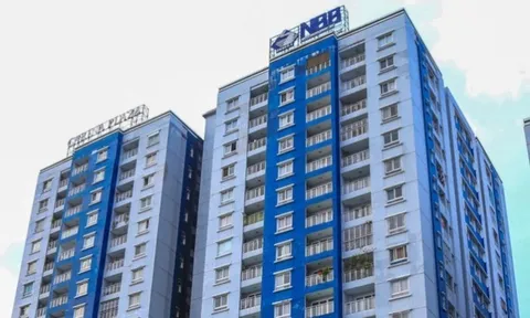 NBB vay nợ hơn 3.000 tỷ, 13 năm chưa thực hiện xong Dự án De Lagi