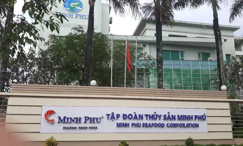Chi phí tài chính “ăn mòn” lợi nhuận của “Vua tôm” Minh Phú