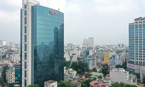 Nhóm Gelex đang nắm bao nhiêu vốn tại Dầu khí Long Sơn (PXL) sau chuyển nhượng?