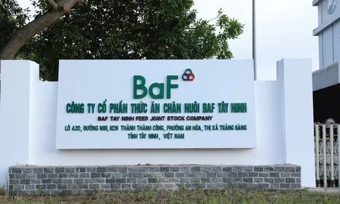 Nông nghiệp BaF Việt Nam (BAF) hoàn tất phát hành hàng trăm tỷ đồng trái phiếu cho 9 nhà đầu tư