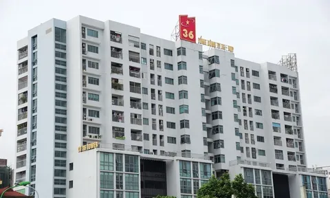 Tổng công ty 36 (G36): Đằng sau việc Chủ tịch cầm cố cổ phiếu vay vốn