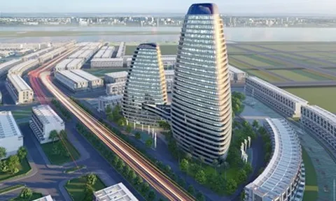 Không còn khoản lợi nhuận đột biến, lãi ròng Đầu tư I.P.A giảm 87%