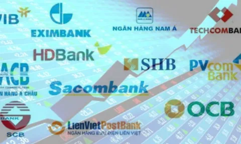 Ngân hàng tư nhân sẽ vượt Big4 để dẫn đầu về vốn điều lệ