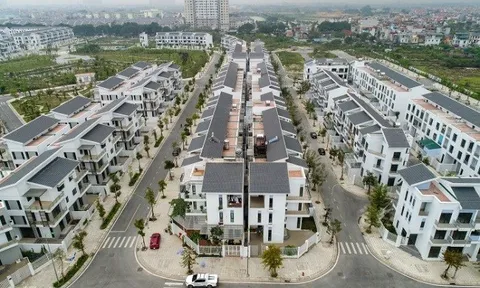 Lãi vay ngân hàng đè nặng Tasco