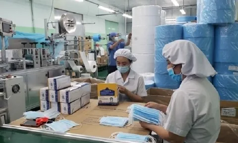 Một công ty y tế lỗ đậm sau kiểm toán với lý do 'phần mềm bất cập'