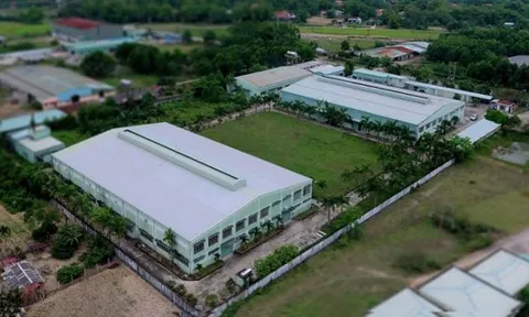 Danameco (DNM) chuyển từ lãi thành lỗ 26 tỷ đồng sau soát xét BCTC bán niên 2022