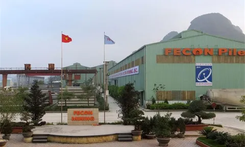 Một công ty con của FECON (FCN) phát sinh gần 500 tỷ đồng cho các cá nhân vay và ủy thác đầu tư