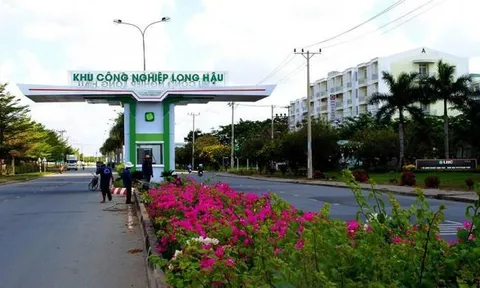 Doanh thu quý II giảm 58%, lợi nhuận lao dốc 81,3%, Long Hậu (LHG) bị HoSE đưa vào diện cảnh báo