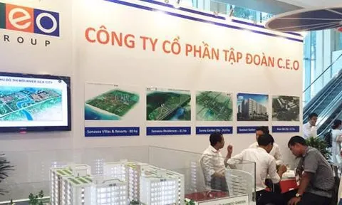 Cổ phiếu CEO “bốc hơi” hơn 70% từ đỉnh giá
