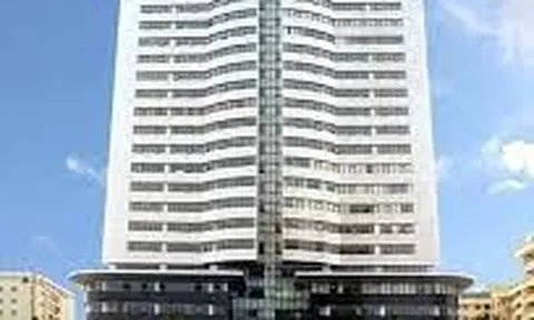 CEO sắp huy động hơn 2.500 tỷ đồng từ phát hành trái phiếu để làm gì?