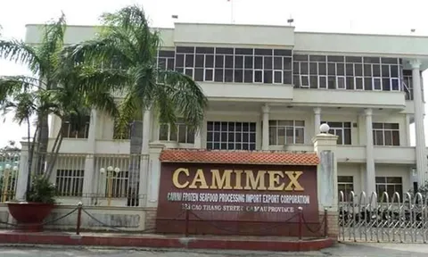 Camimex Group (CMX) bị xử phạt vì cho vay tiền trong “bóng tối”