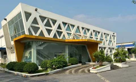 Hải Phòng: Giám đốc công ty xin lỗi công nhân vì có hành động thô lỗ