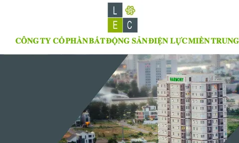 Kinh doanh èo uột, vì sao cổ phiếu LEC tăng trần liên tục 11 phiên?