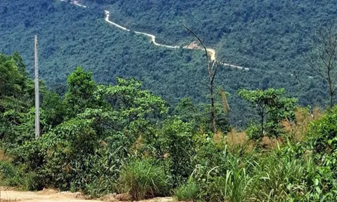 Thêm nhiều công dân tố cáo Công ty đấu giá Toàn Cầu