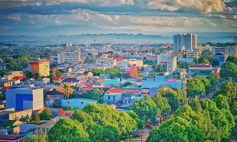 Đắk Lắk: Cần xem xét, giải quyết các kiến nghị của Công ty TNHH Anh Quốc