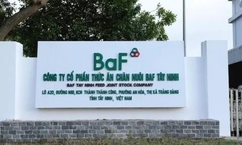 Cổ phiếu BAF giảm 42,1%, một lãnh đạo vẫn bán ra hơn 2 triệu cổ phiếu