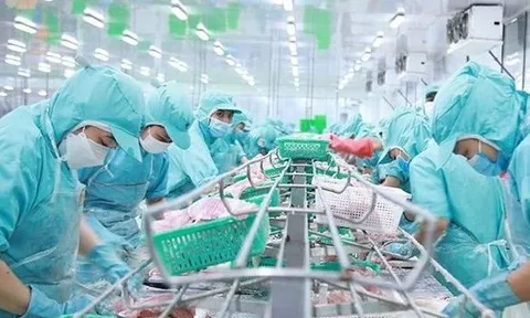 “Mất" gói hỗ trợ tài chính, Tập đoàn Sao Mai báo lãi đi lùi