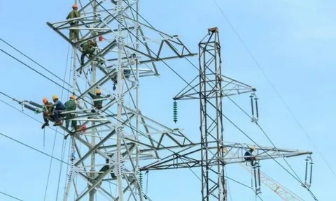 Xây dựng điện Việt Nam (VNE) kinh doanh ảm đạm, báo lỗ Quý III 6,5 tỷ đồng