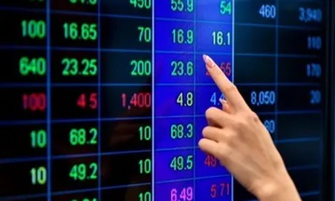 Công ty bảo hiểm cũng lỗ đầu tư chứng khoán