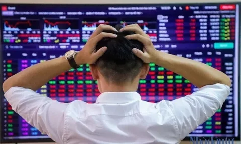 Nhà đầu tư vỡ mộng với "siêu cổ phiếu" DIG, CEO, L14: Thị giá bốc hơi 80-90%, loạt cổ đông tháo chạy, thậm chí lãnh đạo bị “call margin”
