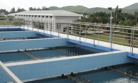 Lợi nhuận của Công ty Cấp thoát nước và Xây dựng Quảng Ngãi quý III/2022 giảm
