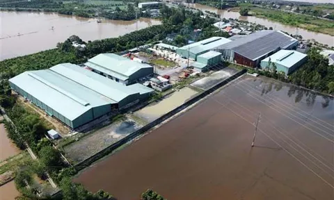 Dự án chưa được chấp thuận đầu tư đã hoạt động, gây ô nhiễm môi trường