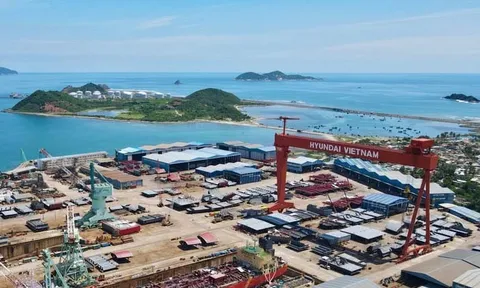 Khánh Hòa: Công ty TNHH Đóng tàu Hyundai - Việt Nam “quên” kê khai thuế GTGT hơn 84 tỷ đồng