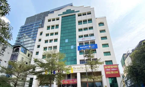 Công ty Vinare (VNR) hao hụt lãi quý III/2022 tới 24% so với cùng kỳ