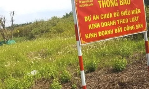 Bình Dương: Cảnh báo cho người lao động các dự án về nhà ở chưa đủ pháp lý