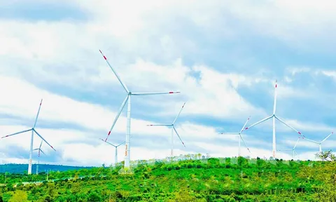 Công ty Cổ phần xây dựng Trung Nam và Công ty điện lực Đắk Lắk bị Thanh tra Chính phủ “điểm mặt” nhiều sai phạm