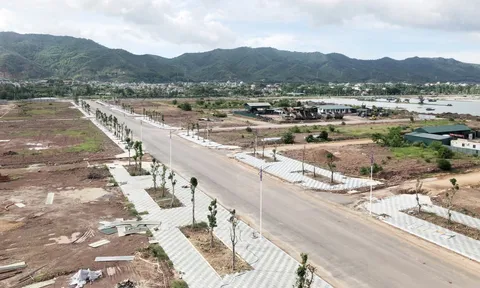 Công ty TNHH Quan Minh bị Cục thuế tỉnh Quảng Ninh “bêu tên” nợ tiền thuế gần 215 tỷ đồng