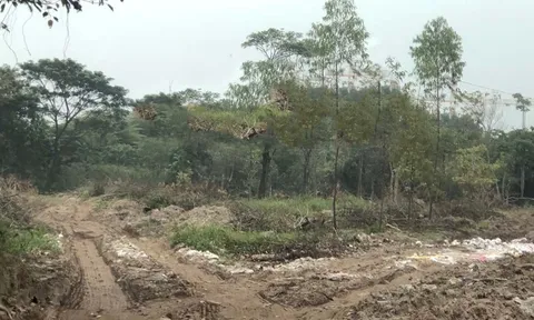 Huyện Văn Giang – Hưng Yên: Chưa đủ pháp lý, Tập đoàn Ecopark đã vội huy động vốn tại Dự án Meraki Residences?