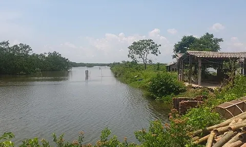 Gần 400 ha đất bị bỏ quên ở Hải Phòng: Xác định loạt sai phạm của chủ đầu tư