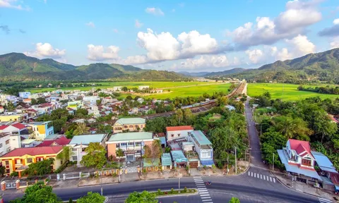 Phú Yên: Dự án trồng rừng được phê duyệt 16 năm, doanh nghiệp vẫn chưa thực hiện