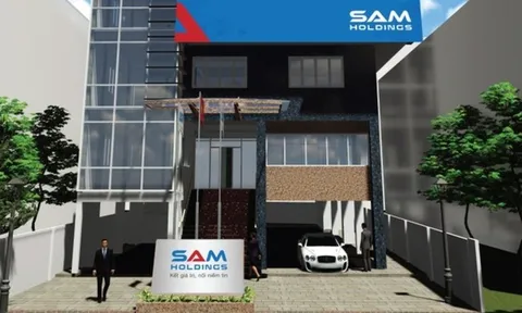 Tái cơ cấu đầu tư, SAM Holdings đăng ký bán toàn bộ cổ phiếu DNP