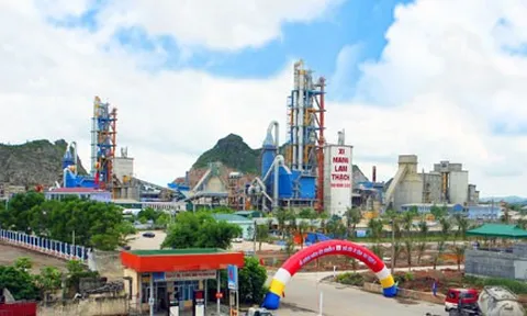 Công ty CP Xi măng và Xây dựng Quảng Ninh nợ gần 21 tỷ đồng tiền thuế