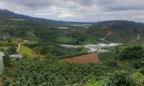 Công ty Phượng Đỏ Đà Loan vẫn chưa khắc phục xong sai phạm