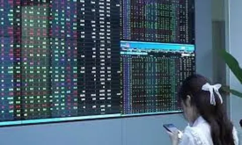 Lợi nhuận ngành chứng khoán quý II/2022: Vừa qua đỉnh thấy ngay vực thẳm, tự doanh khiến CTCK đua nhau báo lỗ kỷ lục