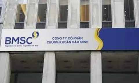 Một CTCK báo lỗ 165 tỷ đồng dù tự doanh chốt lời cổ phiếu thu lãi trăm tỷ