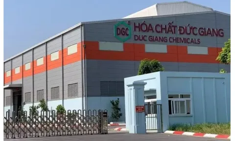 Tuần đen đủi của đại gia Đào Hữu Huyền: Cả nhà mất tiền, bốc hơi hơn 900 tỷ đồng