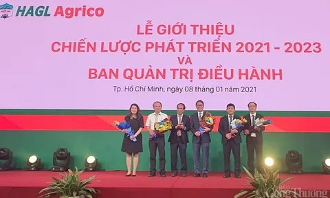 Bầu Đức bán sạch vốn, HAGL Agrico ôm lỗ luỹ kế hơn 4.000 tỷ đồng
