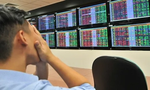 Công ty chứng khoán nội bắt đầu “ngấm đòn”