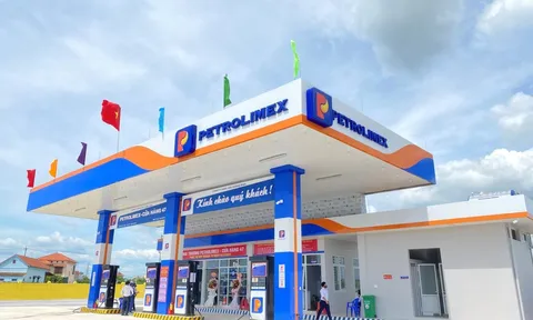 7 DN đầu mối xăng dầu bị tước giấy phép, nhiều ông lớn "ngồi trên đống lửa"