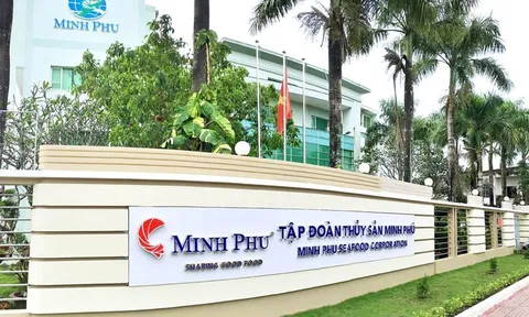 Doanh số của Minh Phú trong 7 tháng bắt đầu chững lại, Mỹ không còn là thị trường tiêu thụ lớn nhất